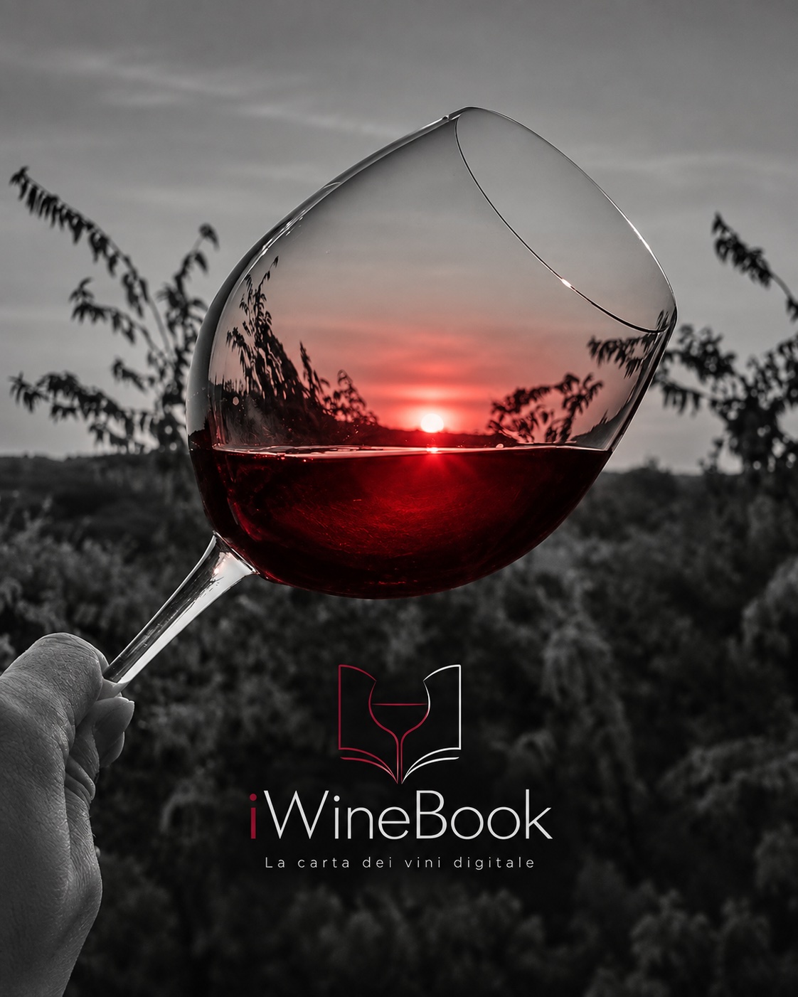 Vision iWineBook: calice di vino al tramonto in bianco e nero con luce rossa